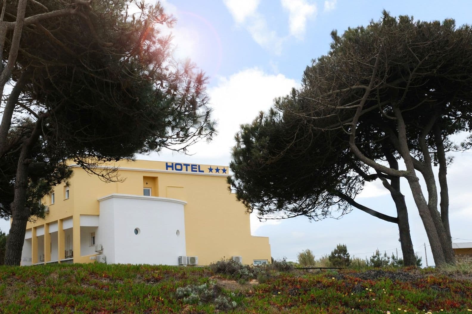 Hotel exterior framed by the pine surroundings